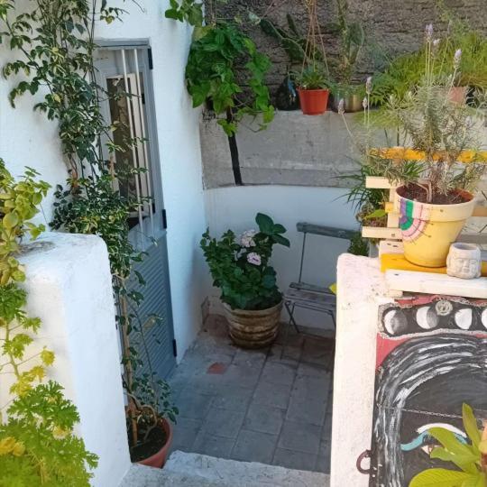 Youki Haus Hostel Montevideo Dış mekan fotoğraf